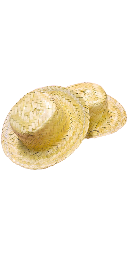 Chapéu de Palha com Fita em Tecido Acetinado